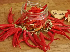 Acı Biber Nasıl Kurutulur