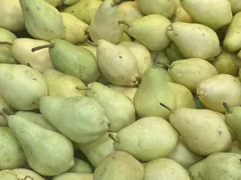 Armut Nasıl Saklanır? Ne Kadar Dayanır?