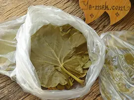 Asma Yaprağı Buzlukta Nasıl Saklanır