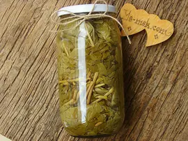 Asma Yaprağı Salamurası