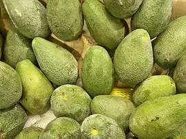 Avokadonun Faydaları