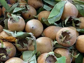 Bozulan Meyve Nasıl Anlaşılır?