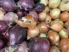 Bozulan Sebze Nasıl Anlaşılır?