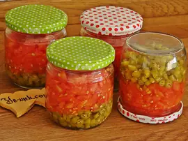 Çiğden Menemen Konservesi