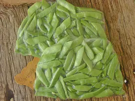 Çiğden Taze Fasulyeyi Buzlukta Saklama Yöntemi