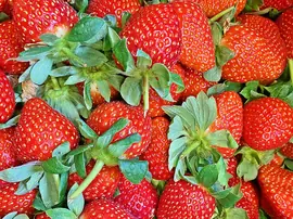 Çileğin Faydaları