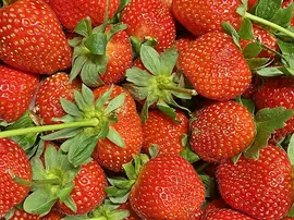 Çilek Nasıl Saklanır? Ne Kadar Dayanır?