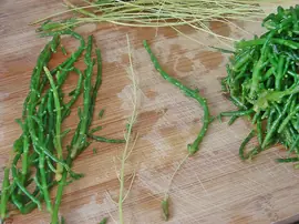 Deniz Börülcesi Nasıl Ayıklanır