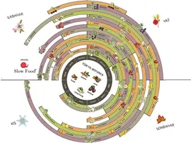 Hangi Mevsimde Ne Yenir? Mevsime Göre Sebze Meyve Listesi