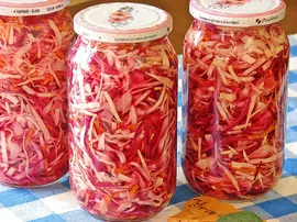 Karışık Lahana Turşusu