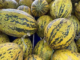 Kavun Nasıl Saklanır? Ne Kadar Dayanır?