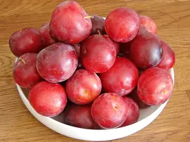 Kırmızı Eriğin Faydaları