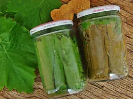 Kurudan Asma Yaprağı