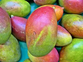 Mangonun Faydaları