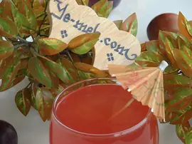 Mürdüm Eriği Suyu