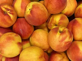 Nektarinin Faydaları