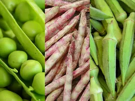 Sebzeler Buzlukta Ne Kadar Süre Saklanır? Hangi Sebze Ne Kadar Dayanır?