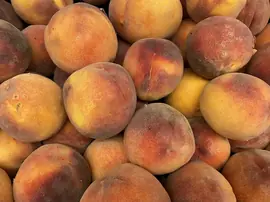 Şeftalinin Faydaları