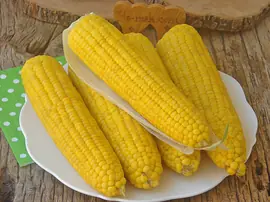 Süt İle Mısır Haşlama