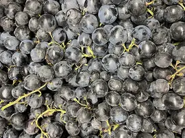 Üzümün Faydaları