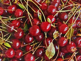 Vişnenin Faydaları