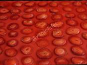 Kedidilli Çilekli Muhallebi