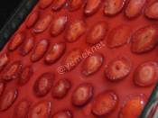 Kedidilli Çilekli Muhallebi