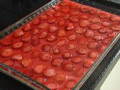 Kedidilli Çilekli Muhallebi