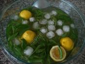 Lemon Iced Tea Recipe