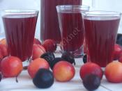 Kiraz ve Erik Suyu Konsantresi (Şekersiz)