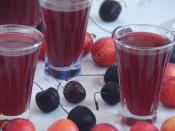 Kiraz ve Erik Suyu Konsantresi (Şekersiz)