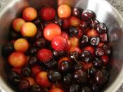 Kiraz ve Erik Suyu Konsantresi (Şekersiz)