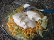 Göbekli Tavuk Salatası (Dukan Usulü)
