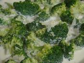 Kremalı Brokolili Makarna