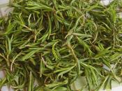 Zahter Salatası (Kekik Salatası)