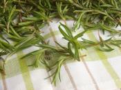 Zahter Salatası (Kekik Salatası)