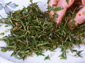 Zahter Salatası (Kekik Salatası)