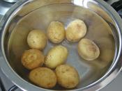 Fırında Kaşarlı Taze Patates