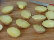 Fırında Kaşarlı Taze Patates