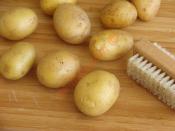 Fırında Tereyağlı Taze Patates