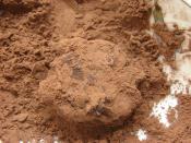 Çikolata Kaplı Ceviz