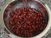 Meksika Fasulyesi Salatası