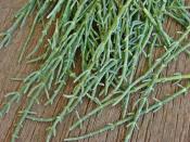 Deniz Börülcesi Nasıl Ayıklanır