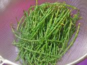 Deniz Börülcesi Nasıl Ayıklanır