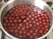 Vişne Hoşafı (Vişne Kompostosu)