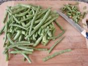 Zeytinyağlı Taze Börülce