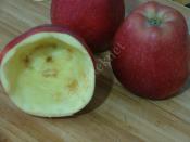 Atıştırmalık Elma Çubukları