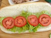 Ton Balıklı Sandviç