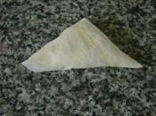 Potato Triangle Shaped Pastry Recipe