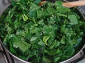 Bechamel Sauce Spinach Crepe Recipe